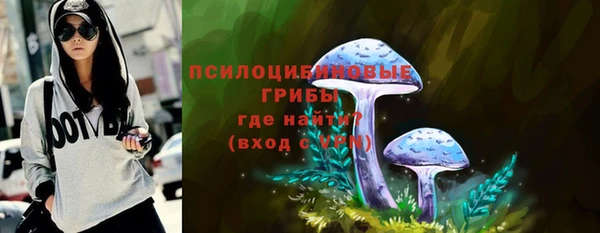 шишки Майский