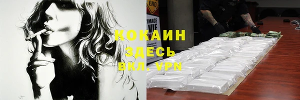 шишки Майский