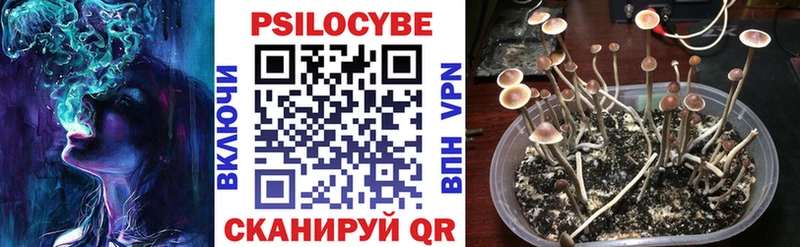 Псилоцибиновые грибы Psilocybine cubensis  Донецк 
