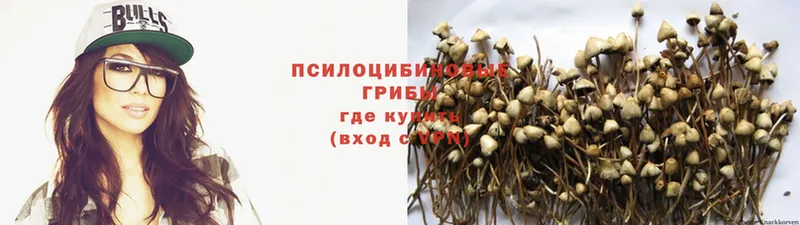 MEGA tor  Донецк  Галлюциногенные грибы MAGIC MUSHROOMS 