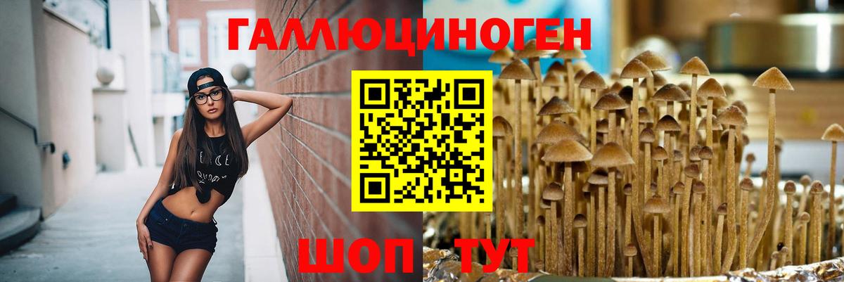 цены наркотик  Галлюциногенные грибы Magic Shrooms  Донецк  Галлюциногенные грибы Psilocybe 