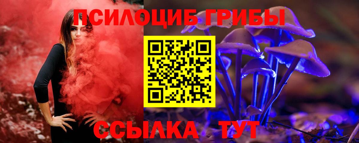 Псилоцибиновые грибы GOLDEN TEACHER Донецк