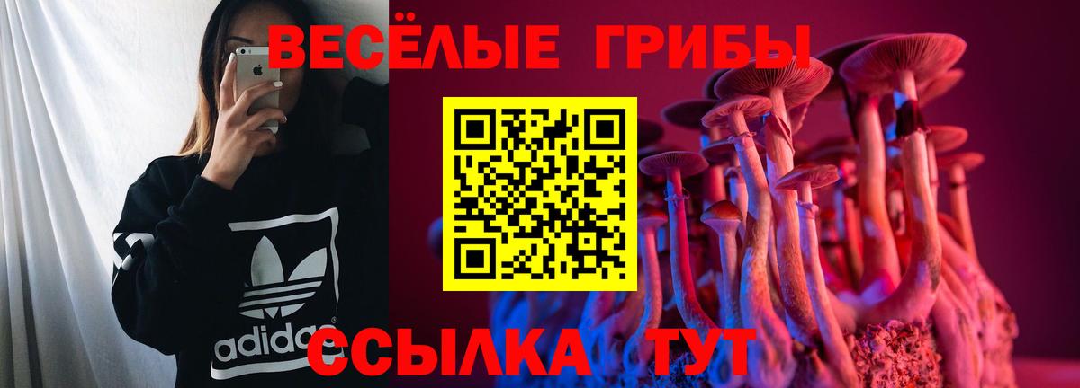 Псилоцибиновые грибы Magic Shrooms  Вход с VPN  Галлюциногенные грибы прущие грибы  где купить   Донецк 